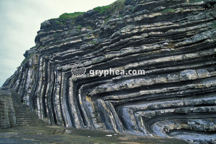 Plis dans les flyschs de la Pointe Sainte-Barbe (Saint-Jean de Luz, pays basque) - gryphea.org